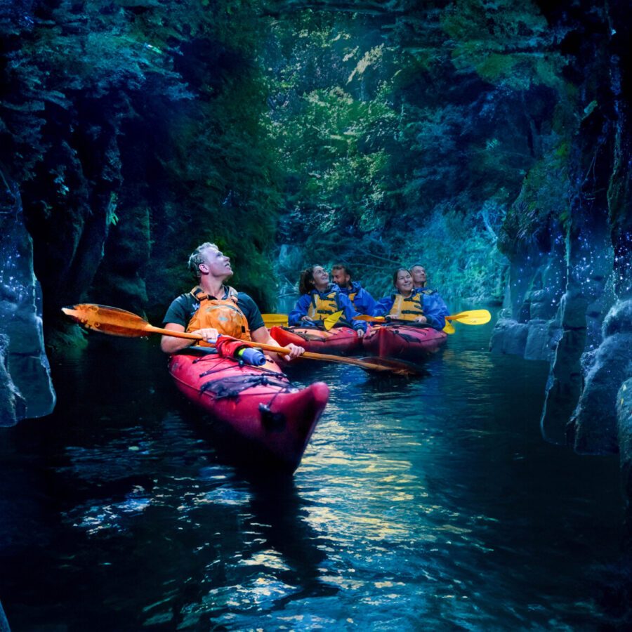 Evening Glowworm Kayak Tour | Waimarino Kayak Tours | Tauranga gwt standard (1 of 1)