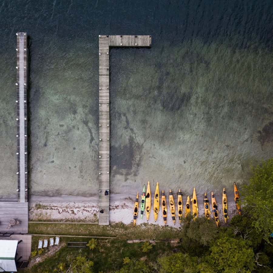 Scenic Lake Rotoiti Kayak Tour| | Waimarino Kayak Tours | Rotorua Scenic Lake Rotoiti Kayak Tour| | Waimarino Kayak Tours | Rotorua
