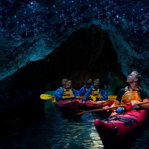 Rotoiti Glowworm Cave | Waimarino Kayak Tours