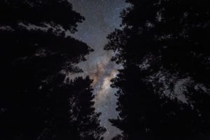 Nigh Sky full of stars| | Waimarino Kayak Tours | Rotorua