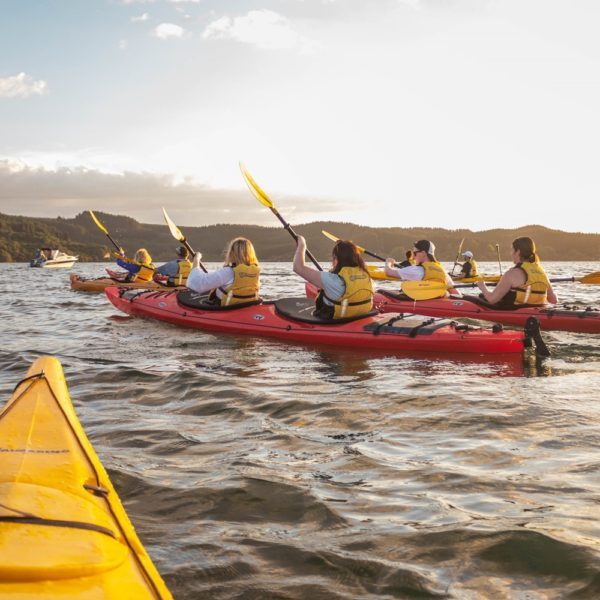 Starlight Gourmet Kayak Tour| | Waimarino Kayak Tours | Rotorua Starlight Gourmet Kayak Tour| | Waimarino Kayak Tours | Rotorua