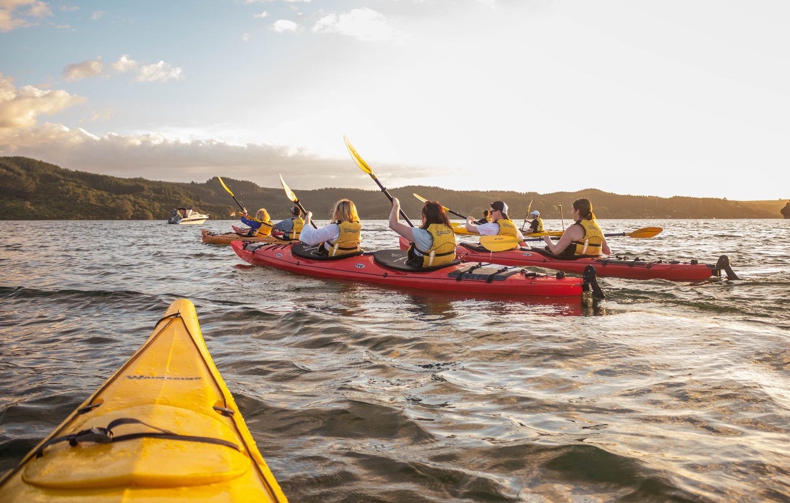 Starlight Gourmet Kayak Tour| | Waimarino Kayak Tours | Rotorua