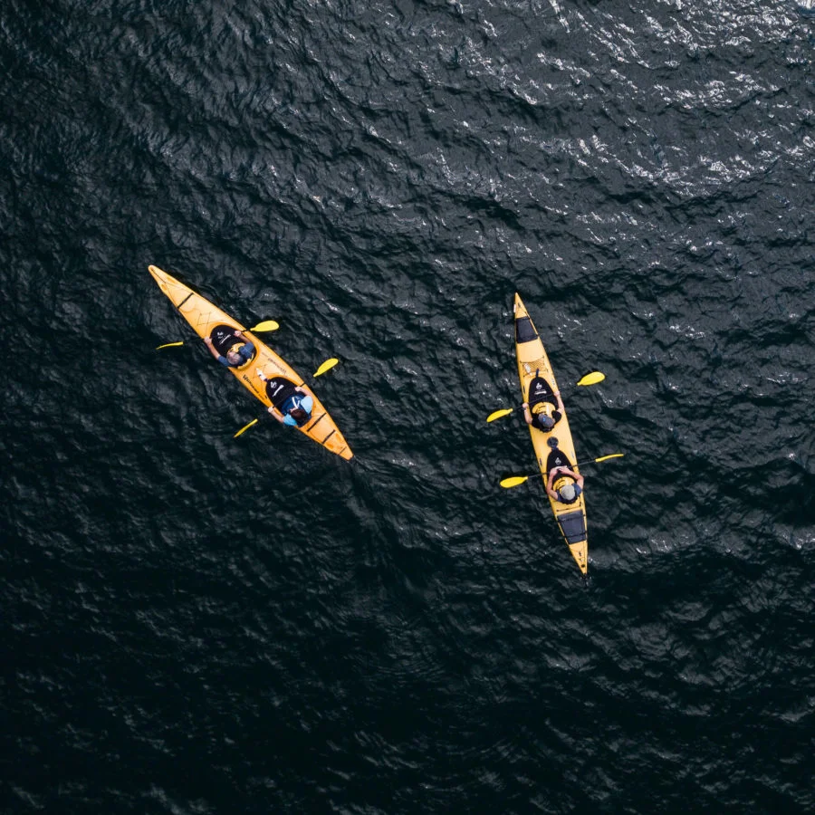 Starlight/Gourmet Kayak Tour Rotorua