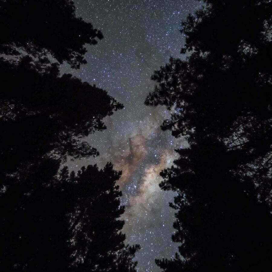 Evening Glowworm Kayak Tour | Waimarino Kayak Tours | Tauranga Starlight/Gourmet Kayak Tour Rotorua