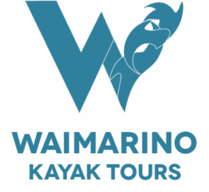 waimarino kayak tours blue logo