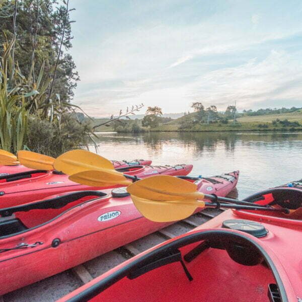 Waimarino Kayak Tours | Evening Glowworm Kayak Tour | Tauranga | NZ Waimarino Kayak Tours | Evening Glowworm Kayak Tour | Tauranga | NZ