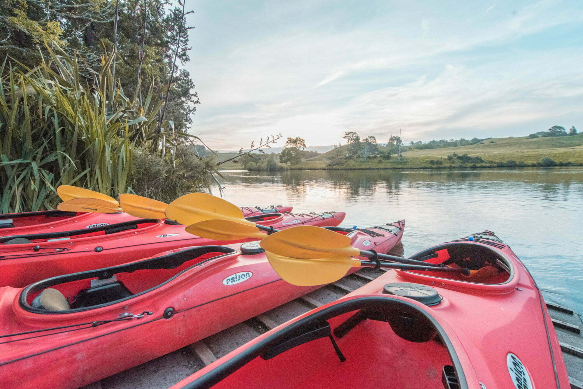 Waimarino Kayak Tours | Evening Glowworm Kayak Tour | Tauranga | NZ