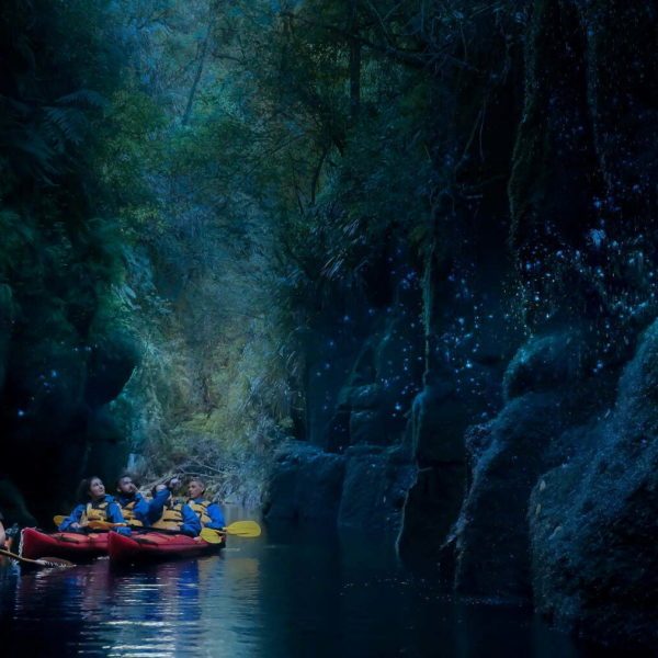 Evening Glowworm Kayak Tour Tauranga