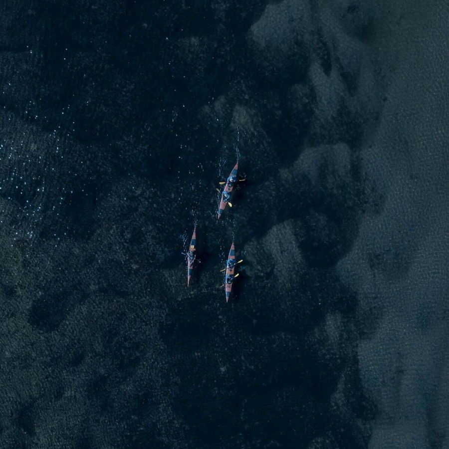 Evening Glowworm Kayak Tour | Waimarino Kayak Tours | Tauranga Evening Glowworm Kayak Tour Tauranga