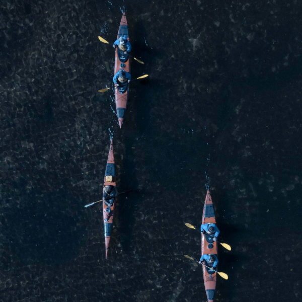 Tauranga,Rotorua,Scenic,Glowworm Kayak Tours