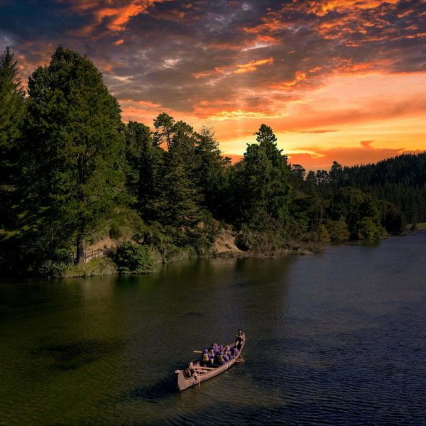 Tauranga,Rotorua,Scenic,Glowworm Kayak Tours