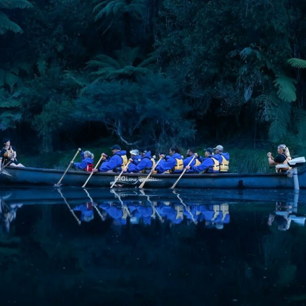 Tauranga,Rotorua,Scenic,Glowworm Kayak Tours