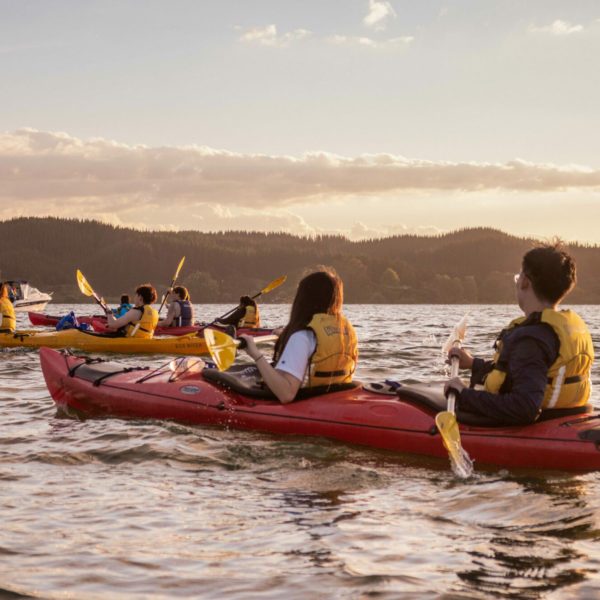 Tauranga,Rotorua,Scenic,Glowworm Kayak Tours