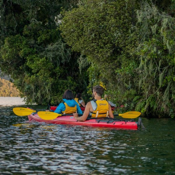 Tauranga,Rotorua,Scenic,Glowworm Kayak Tours