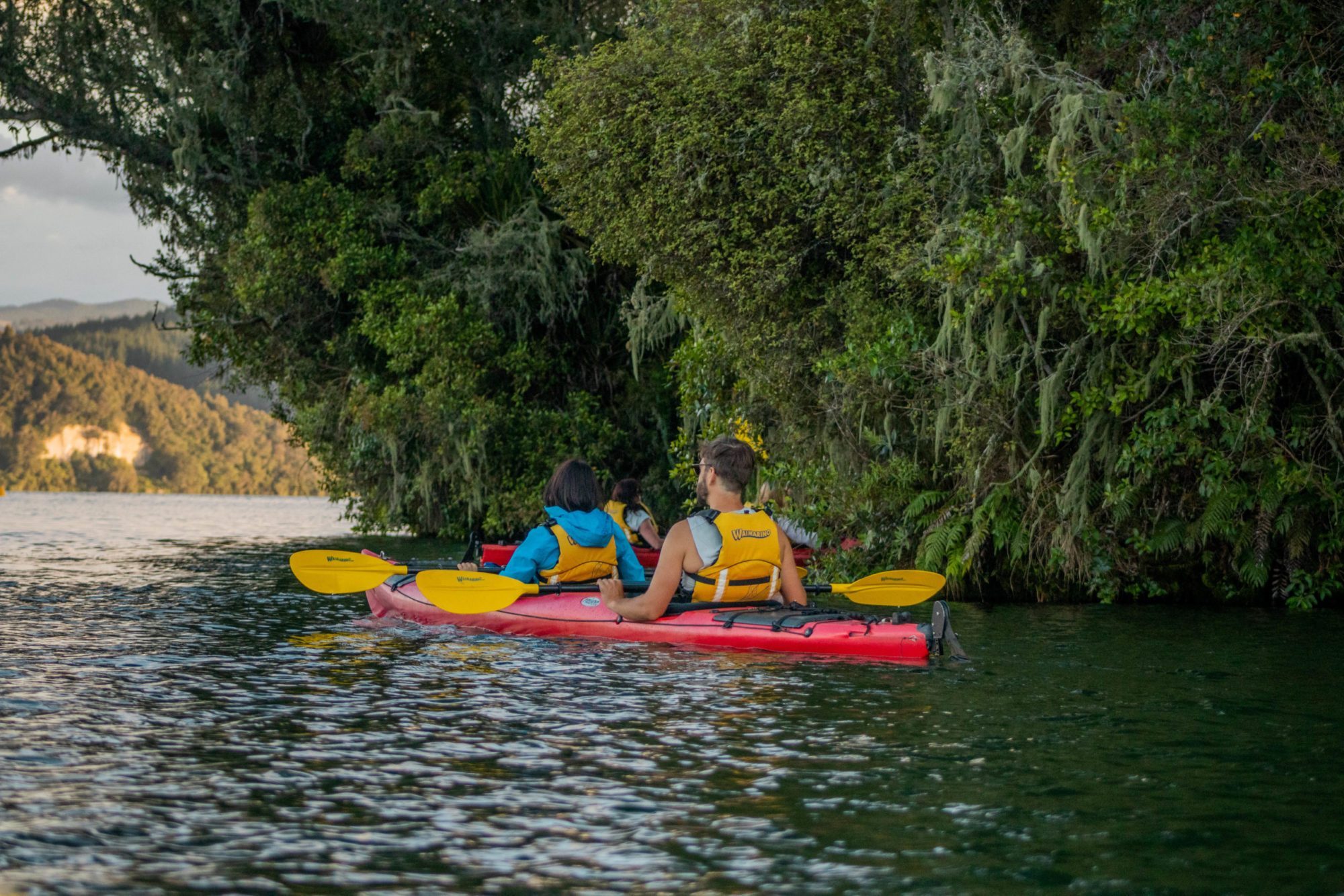 Starlight/Gourmet Kayak Tour Rotorua