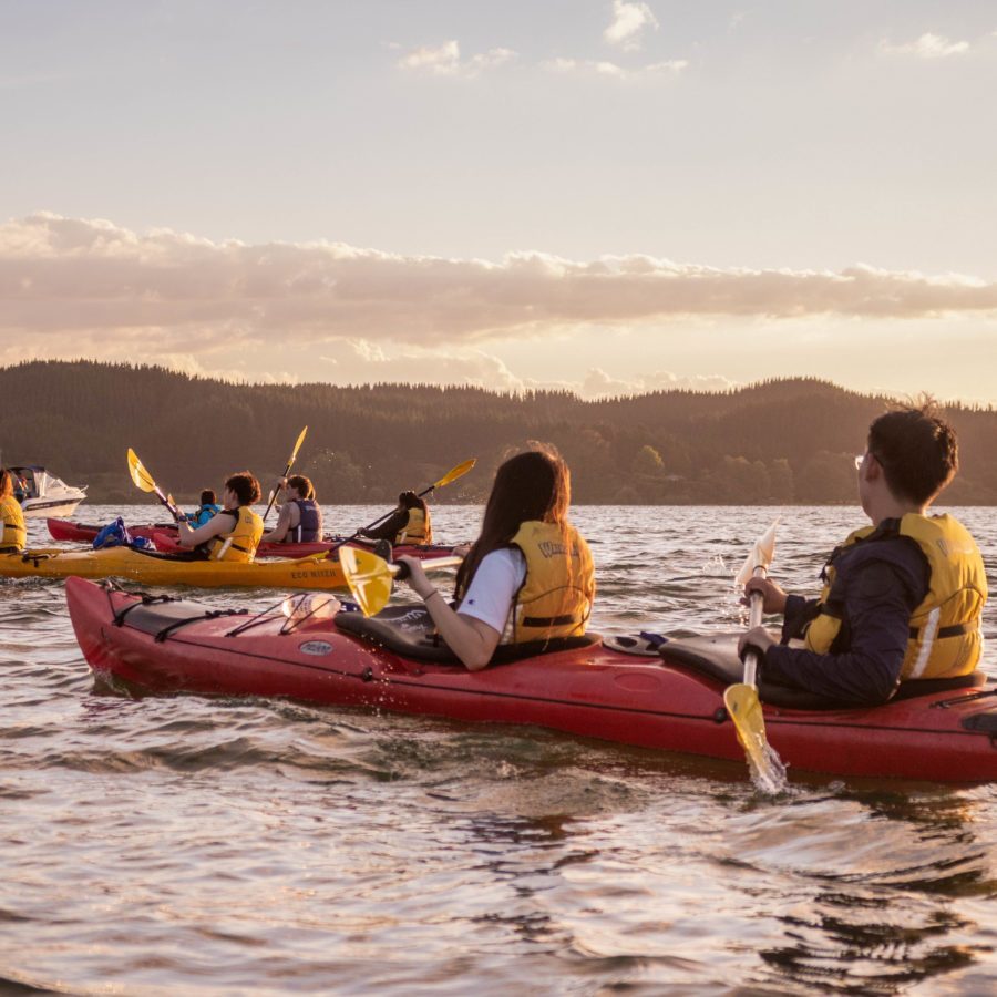 Starlight Gourmet Waimarino Kayak Tours Starlight/Gourmet Kayak Tour Rotorua