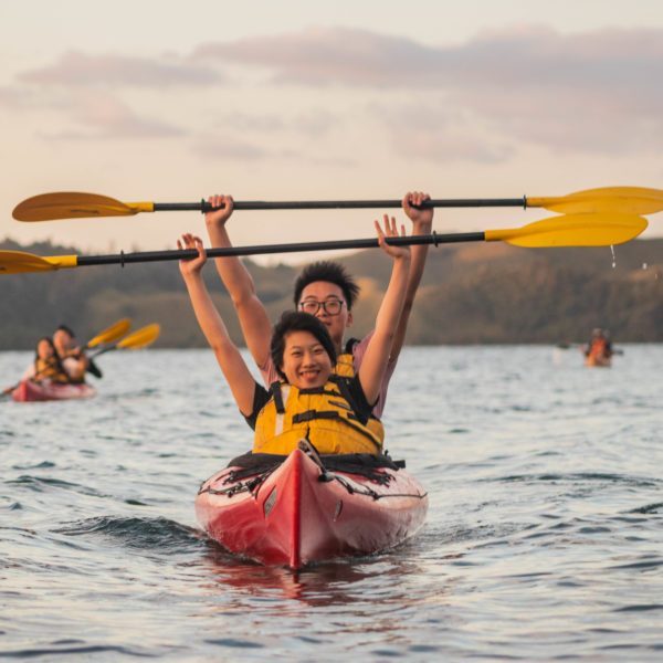 Tauranga,Rotorua,Scenic,Glowworm Kayak Tours