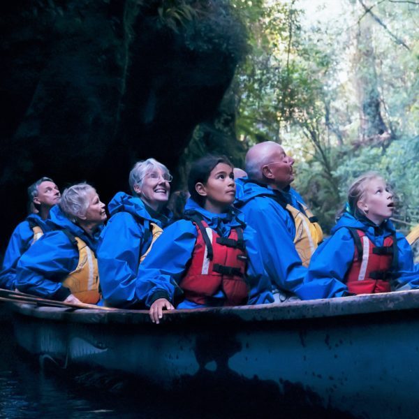 Tauranga,Rotorua,Scenic,Glowworm Kayak Tours