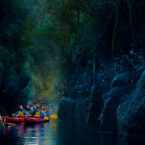 Bright for Print-5 bright for print 5