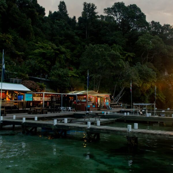 Starlight Gourmet Waimarino Kayak Tours starlight gourmet 12