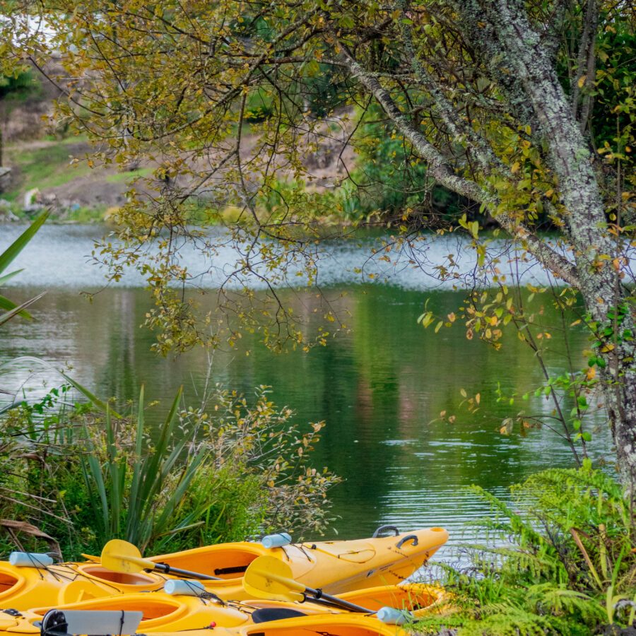 starlight gourmet 34