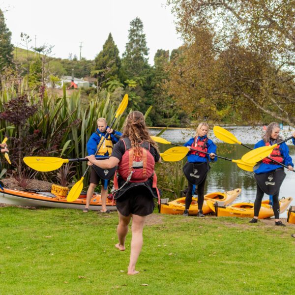 starlight gourmet 55