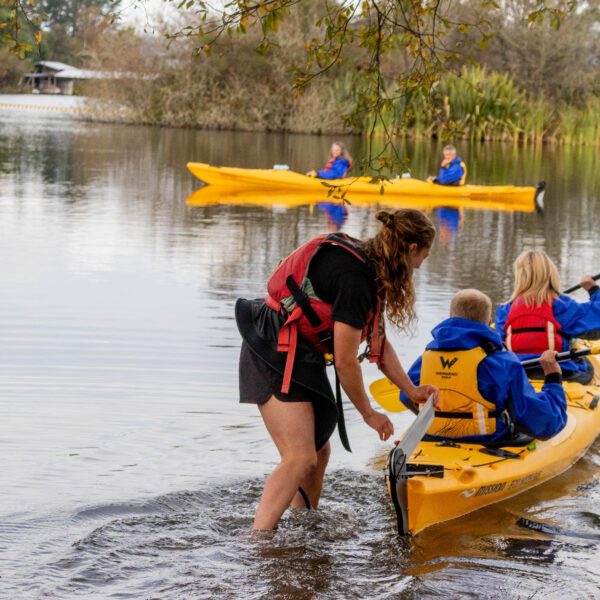 starlight gourmet 64