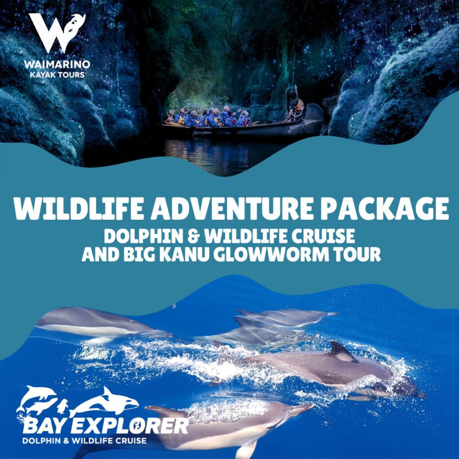wildlife adventure package (2)