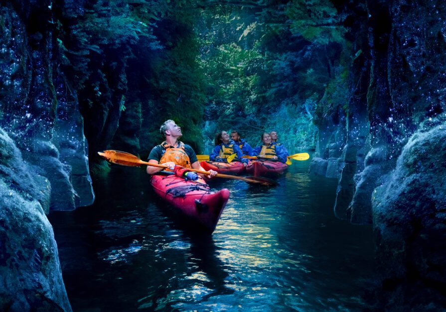 gwt standard (1 of 1)