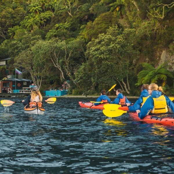 Scenic Lake Rotoiti Kayak Tour| | Waimarino Kayak Tours | Rotorua